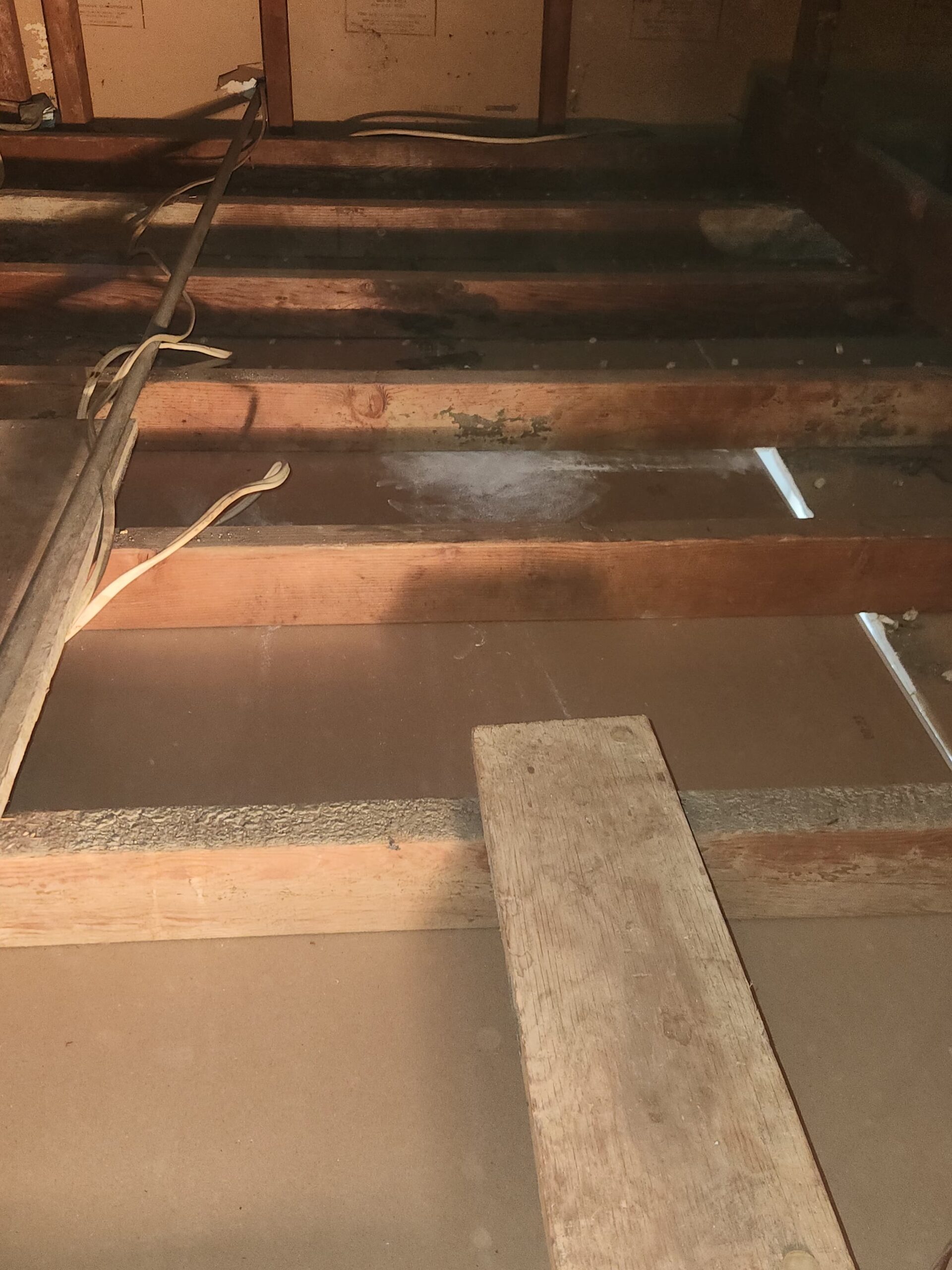 Attic space requiring professional assessment
