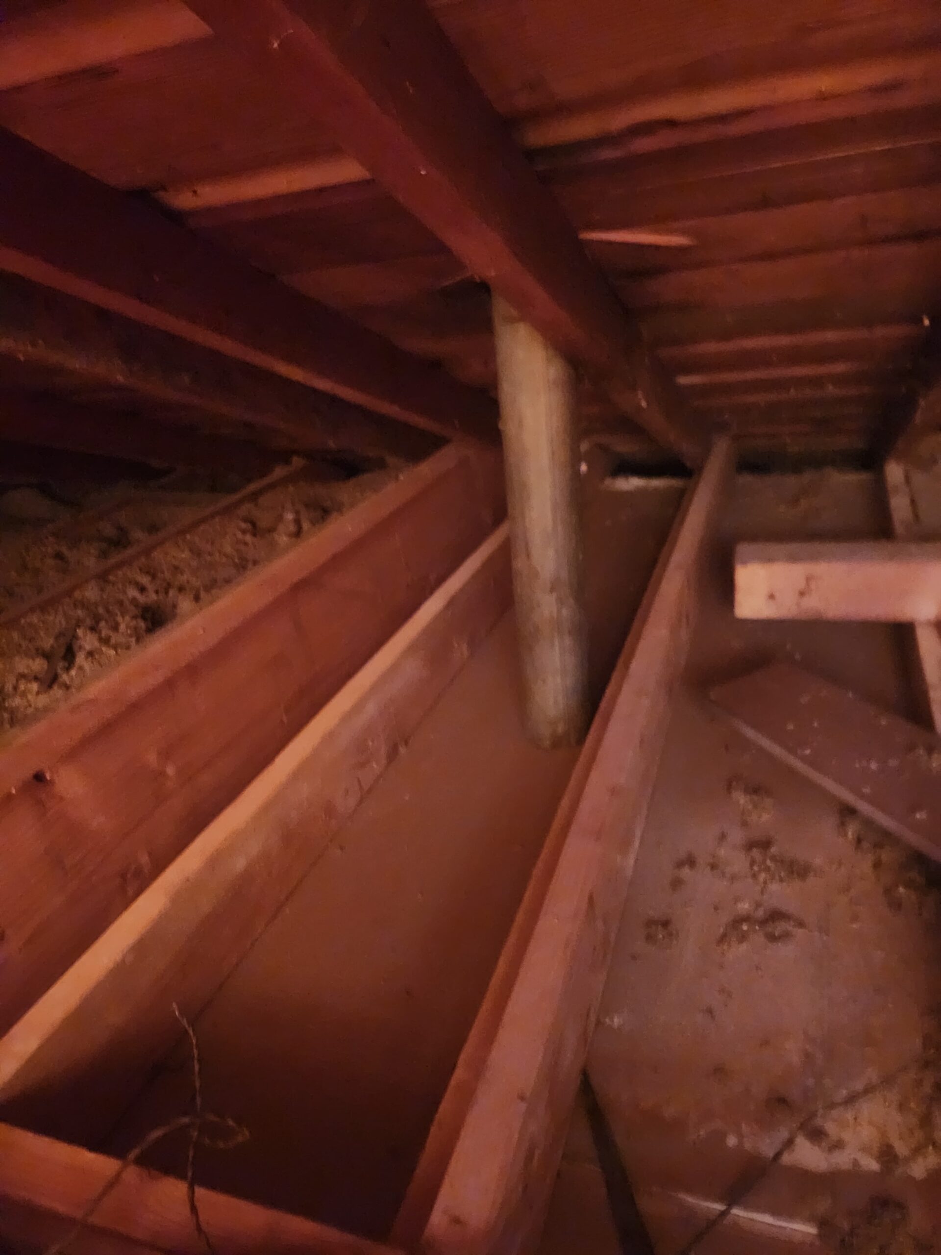 Attic interior before cleanup